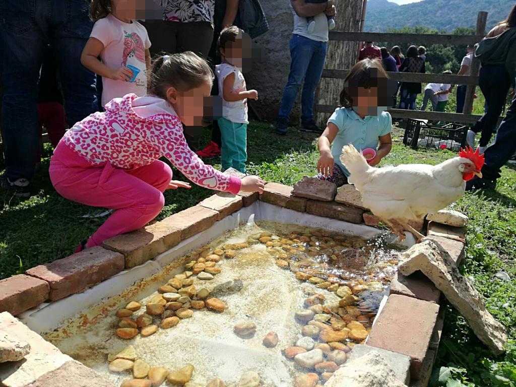 Godrano Casale Valle Agnese المظهر الخارجي الصورة